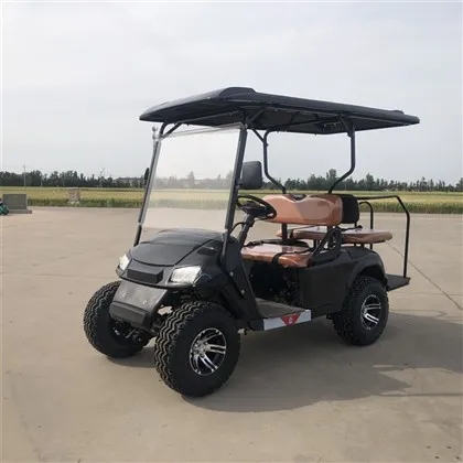 Siyah Elektrikli Golf Arabası