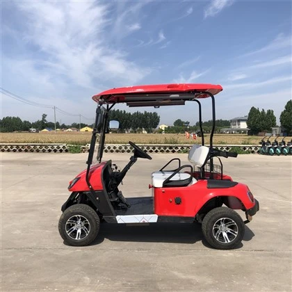 Mini Golf Arabası